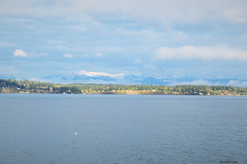 Reclaim Your Spring Break: You ve Earned It After College