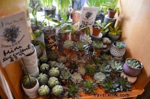 Reclaim Your Spring Break: You ve Earned It After College