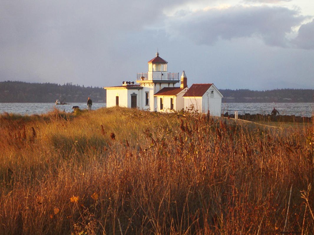 Discover Seattle s Top Outdoor Spots: Immerse in the Emerald City s Lush Green Spaces