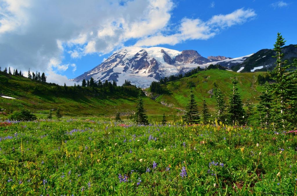 Discover Seattle s Top Outdoor Spots: Immerse in the Emerald City s Lush Green Spaces