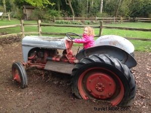 Seattle CityPASS: Multi-Generational Family Adventure with International Guests