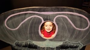 Seattle CityPASS: Multi-Generational Family Adventure with International Guests