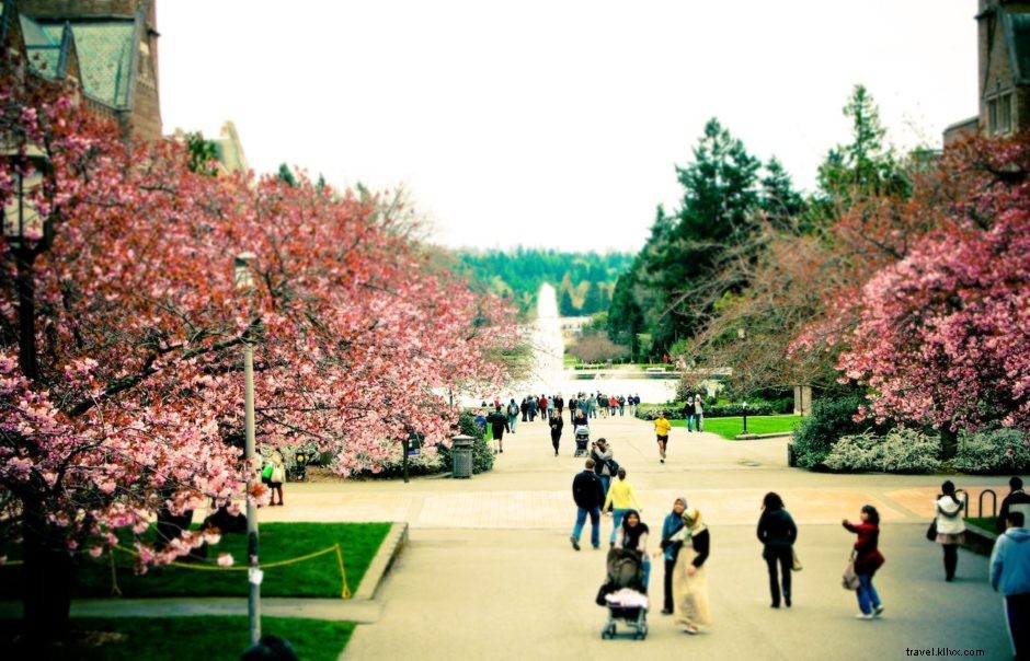 Ultimate Guide to Seattle s Neighborhoods: Discover Your Perfect Spot