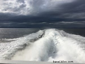 Unforgettable Whale Watching Adventure: 20 Minutes North of Seattle