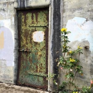 Discover Whimsical Port Townsend: Mermaids, Pizza & Time Travel Adventures