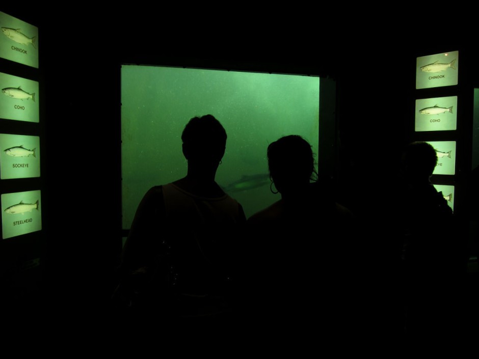 12 Breathtaking Views Unique to Seattle