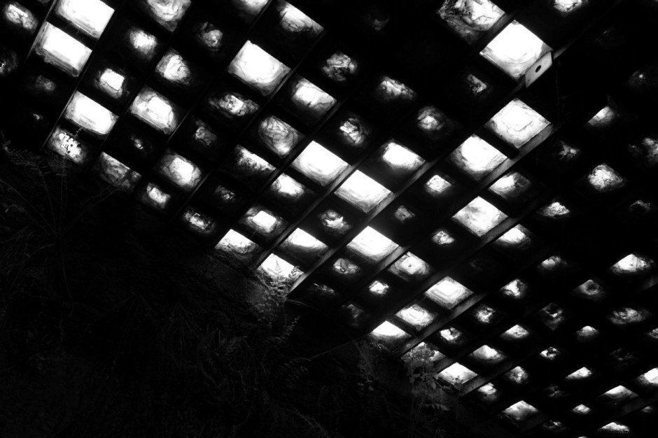 12 Breathtaking Views Unique to Seattle