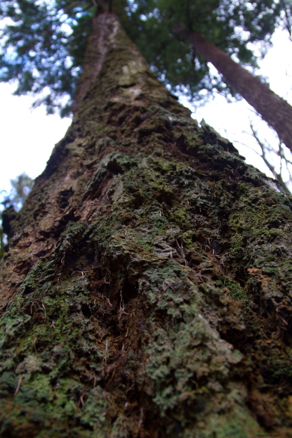 12 Breathtaking Views Unique to Seattle