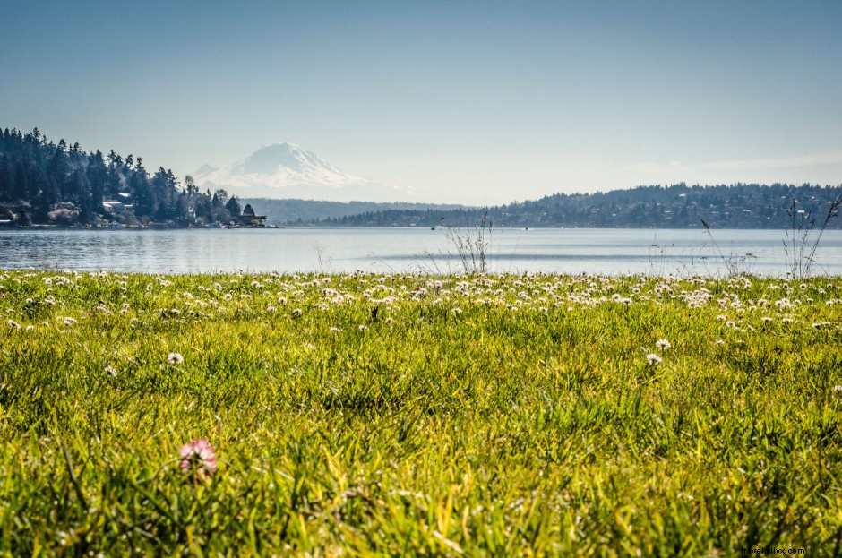 22 Stunning Seattle Photos Capturing the Emerald City s Magic