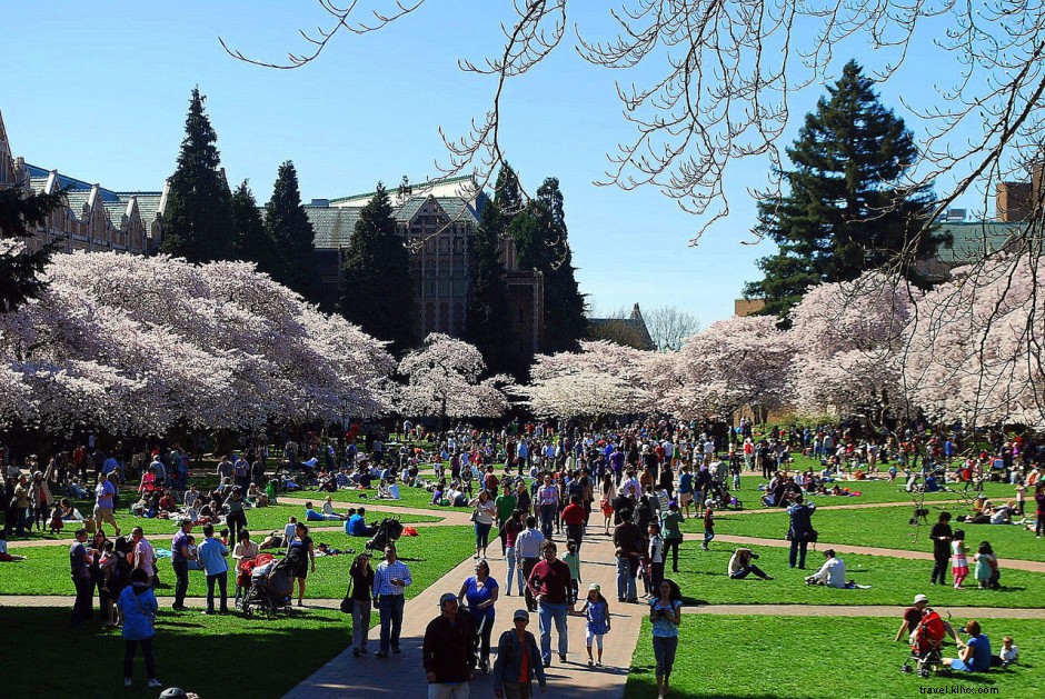 22 Stunning Seattle Photos Capturing the Emerald City s Magic