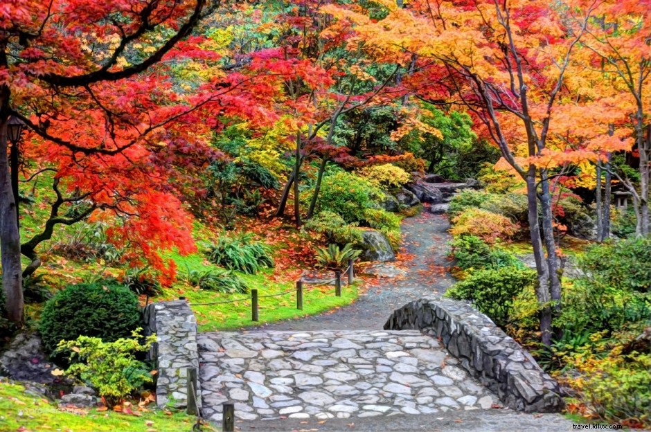 22 Stunning Seattle Photos Capturing the Emerald City s Magic