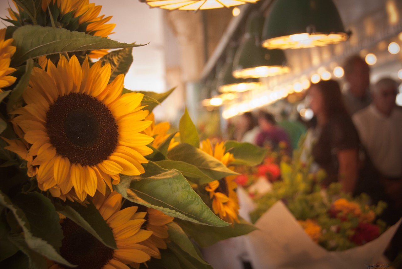 Experience Seattle Through All Your Senses: The Ultimate Sensory Guide to the Emerald City