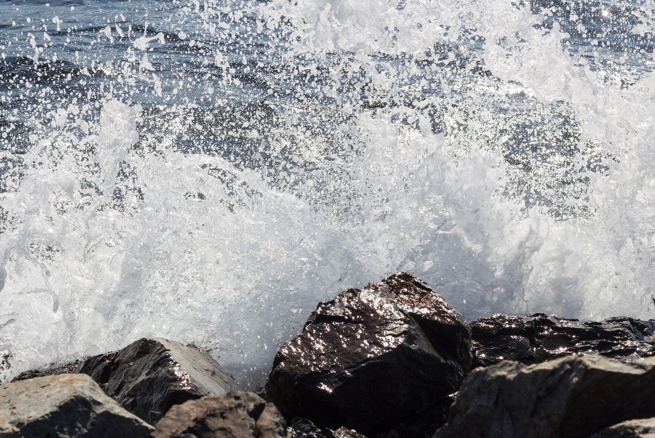 Experience Seattle Through All Your Senses: The Ultimate Sensory Guide to the Emerald City