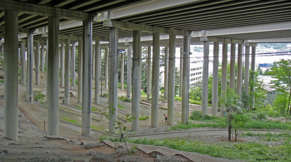 12 Insider Seattle Quirks Only Locals Truly Understand