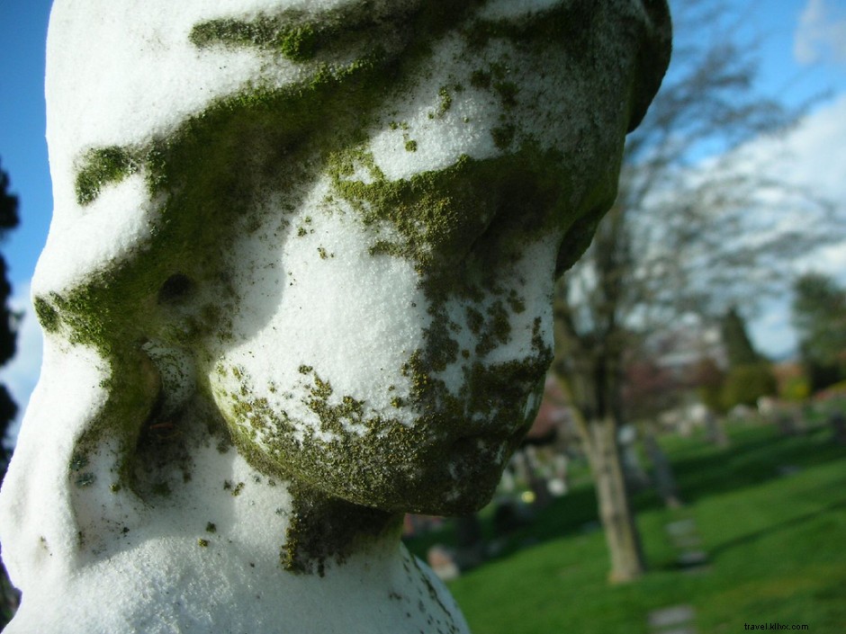 12 Insider Seattle Quirks Only Locals Truly Understand