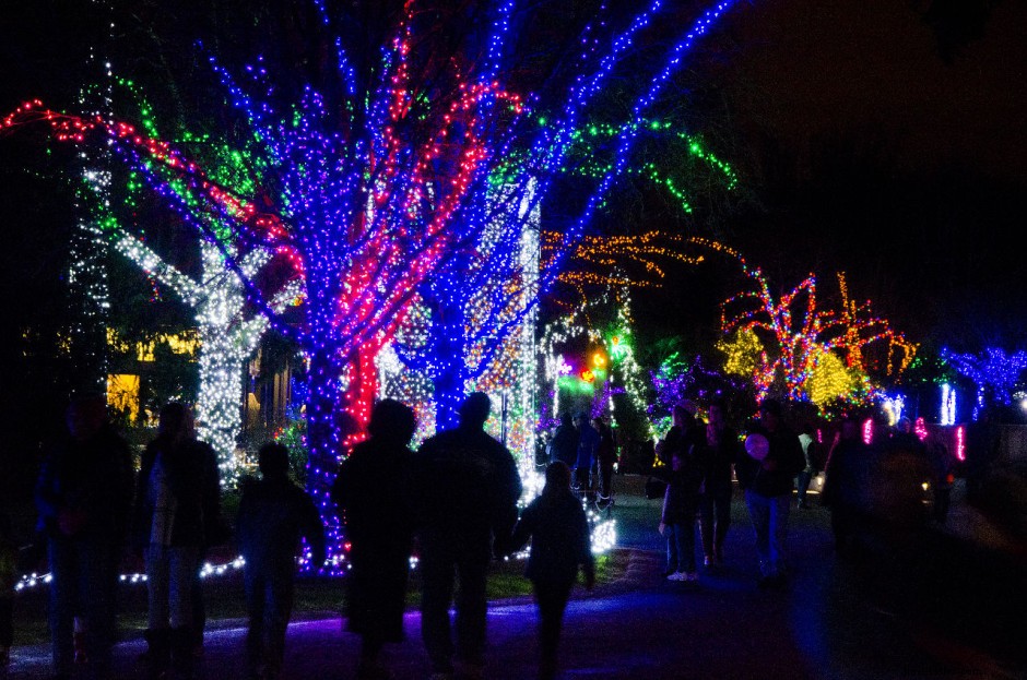 Top 9 Must-See Holiday Experiences in Seattle This Season