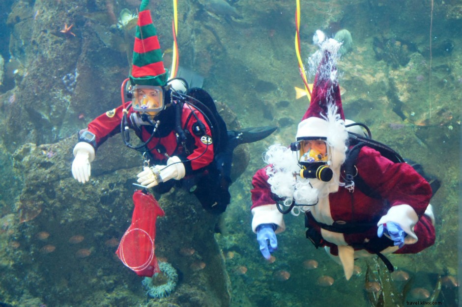 Top 9 Must-See Holiday Experiences in Seattle This Season