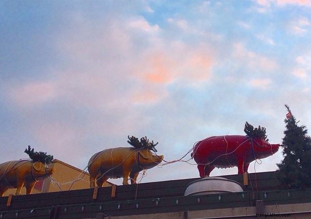 Seattle s Magical Tiny White Lights: Herald of the Holiday Season