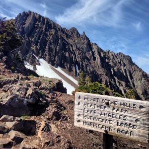 From Florida Gators to Seattle s Mountain Goats: A Hiker s Journey
