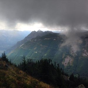 From Florida Gators to Seattle s Mountain Goats: A Hiker s Journey