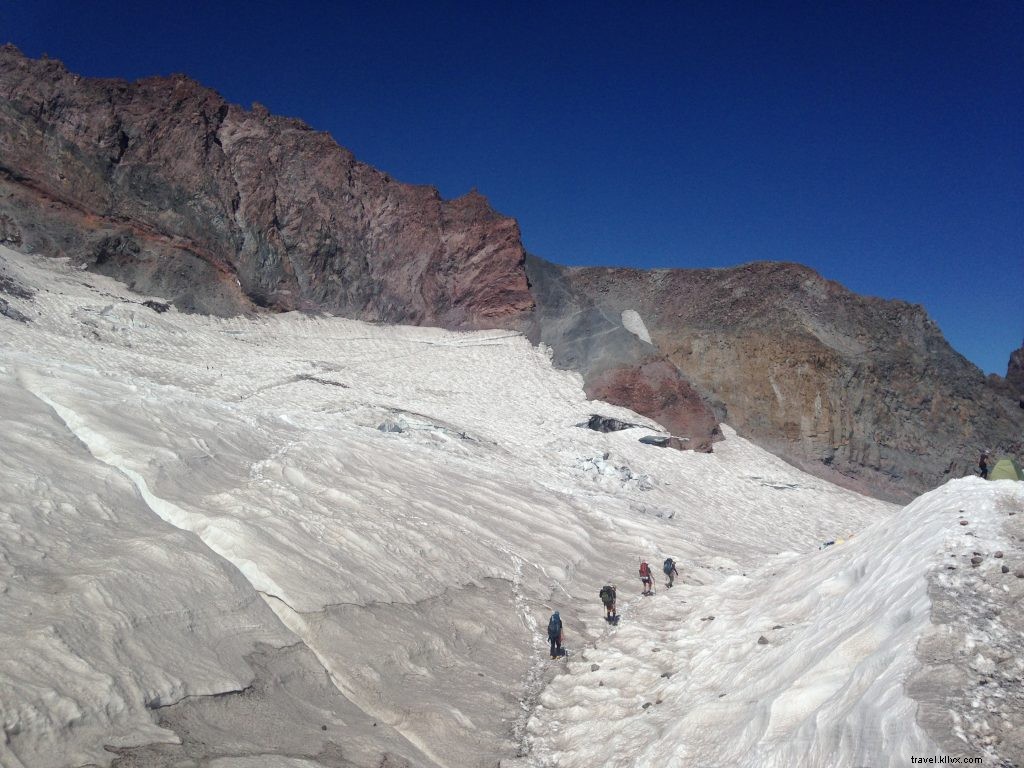 From Florida Gators to Seattle s Mountain Goats: A Hiker s Journey