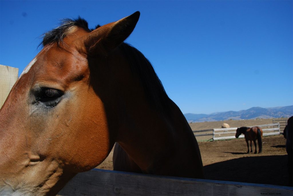 Discover Winthrop: Washington s Charming Western Town in Okanogan County