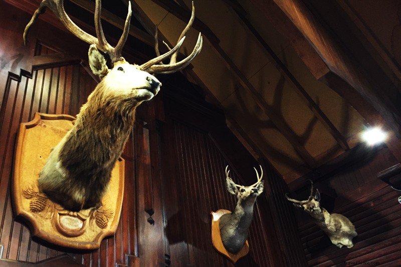 Father-Daughter Adventure: Scenic Amtrak Cascades Train from Seattle to Vancouver, BC