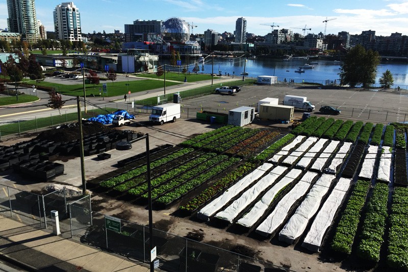 Father-Daughter Adventure: Scenic Amtrak Cascades Train from Seattle to Vancouver, BC