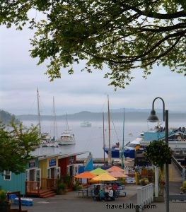 Discover the San Juan Islands: A Perfect 2-Day Escape from Seattle