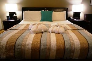 Discover the San Juan Islands: A Perfect 2-Day Escape from Seattle