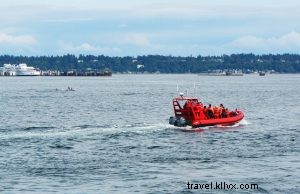 Discover the San Juan Islands: A Perfect 2-Day Escape from Seattle