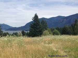 Majestic Summits, Breathtaking Sunsets, and Luxurious Spas: Seattle Getaways