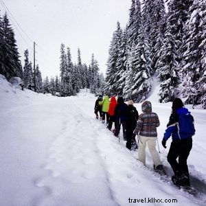 Snowshoe Seattle s Winter Wonderland: Easy Snowshoeing Adventures Nearby