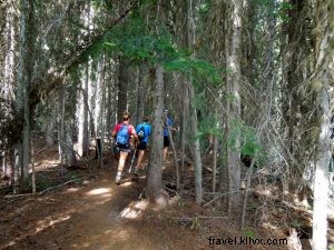 Hiking Heaven: Discover the Enchantment Lakes in Washington s Alpine Wilderness