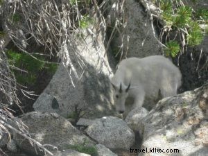 Hiking Heaven: Discover the Enchantment Lakes in Washington s Alpine Wilderness