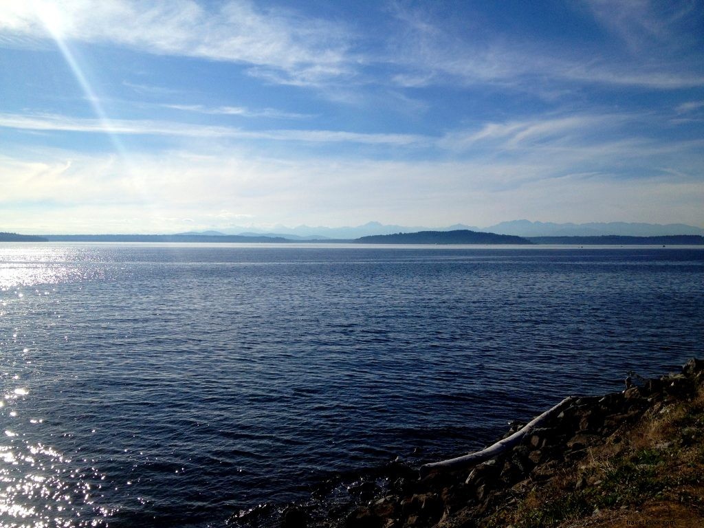 Carpe Sunshine: A Perfect Sunny Sunday in Seattle