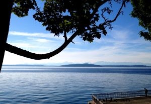 Carpe Sunshine: A Perfect Sunny Sunday in Seattle