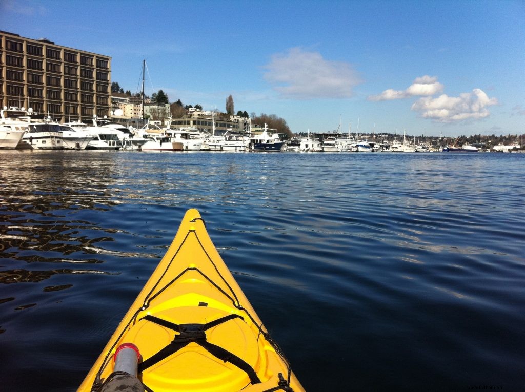 Ultimate Guide to Kayaking on Seattle s Lake Union: Rentals, Routes & Tips
