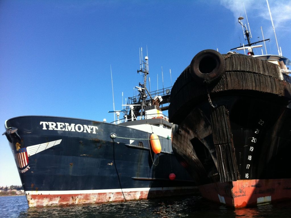 Ultimate Guide to Kayaking on Seattle s Lake Union: Rentals, Routes & Tips