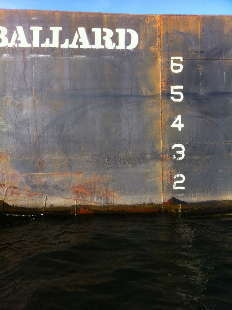 Ultimate Guide to Kayaking on Seattle s Lake Union: Rentals, Routes & Tips