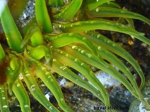 Discover West Seattle: Seattle s Oldest Neighborhood for Happy Travelers