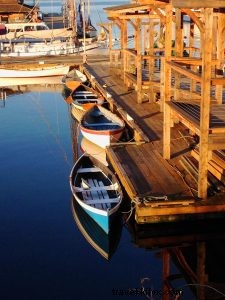 Museums Reimagined: Dynamic Experiences Beyond Your Grandparents  Era