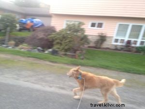 Exploring Seattle Neighborhoods Through Running: My New Adventure