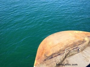 Lopez Island Idyll: Serene Ferry Escape to Washington s San Juan Islands