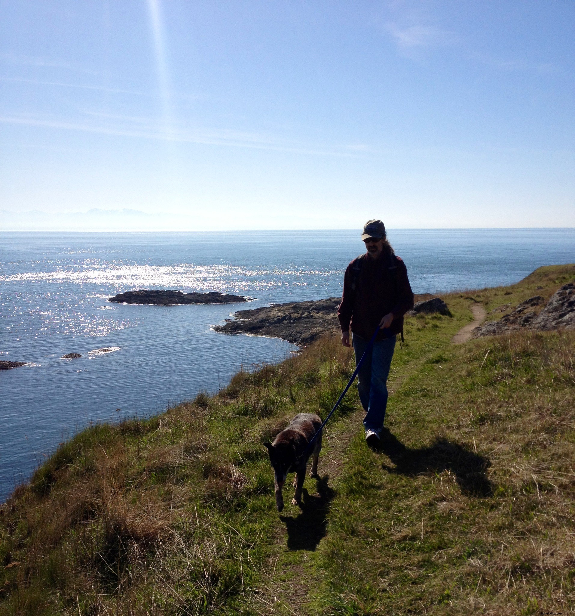 Lopez Island Idyll: Serene Ferry Escape to Washington s San Juan Islands