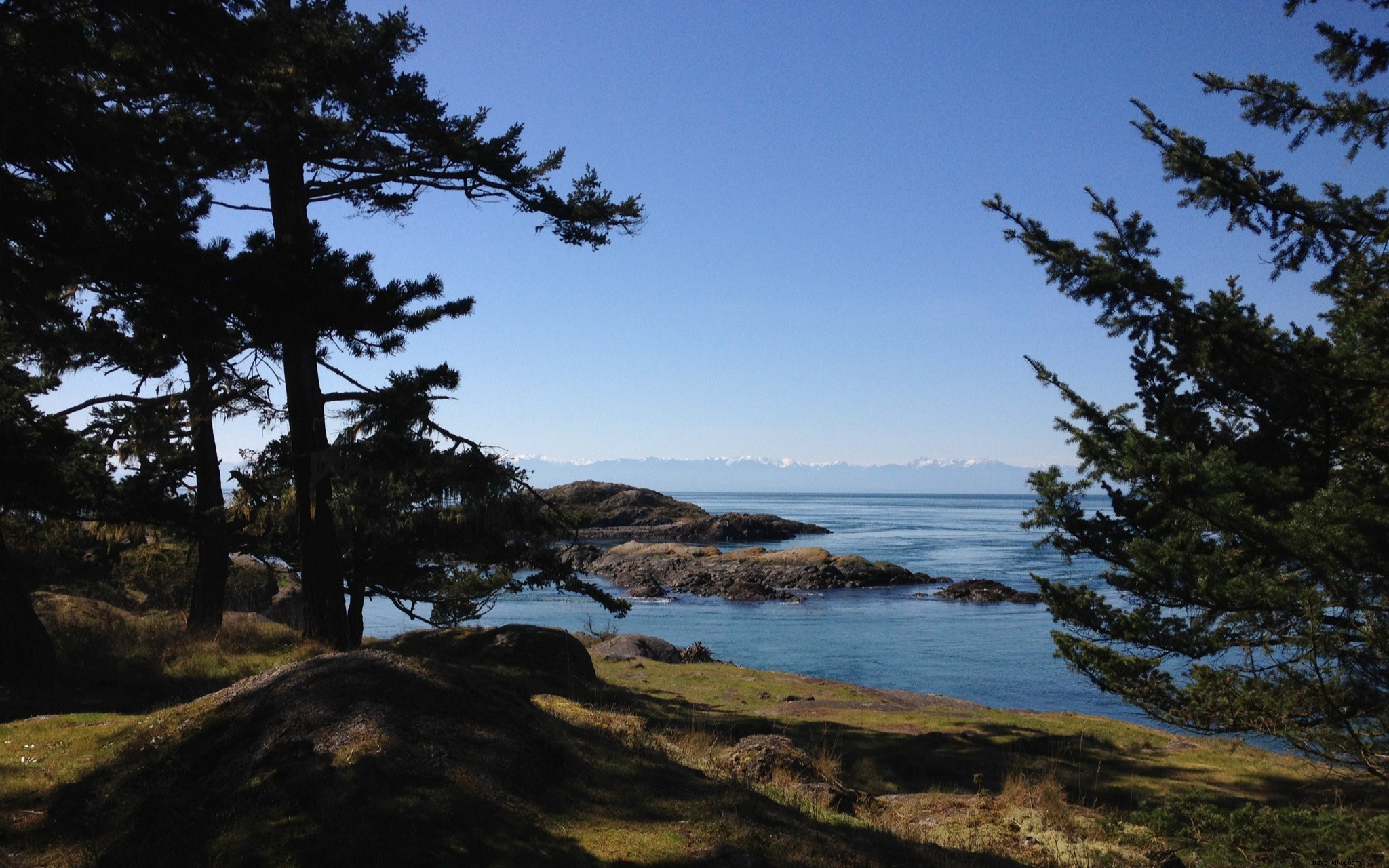Lopez Island Idyll: Serene Ferry Escape to Washington s San Juan Islands