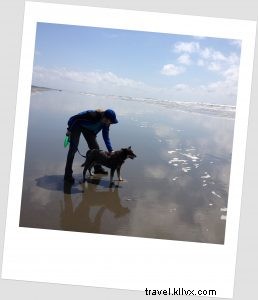 Embracing Seattle Life with Our Adopted Senior Blue Heeler