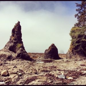 Epic Beach Camping Adventure: Ozette Triangle Loop on Olympic Peninsula