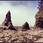Epic Beach Camping Adventure: Ozette Triangle Loop on Olympic Peninsula