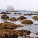 Epic Beach Camping Adventure: Ozette Triangle Loop on Olympic Peninsula
